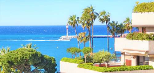 Cannes Alpes-Maritimes Wohnung/ Apartment Bild 7388387