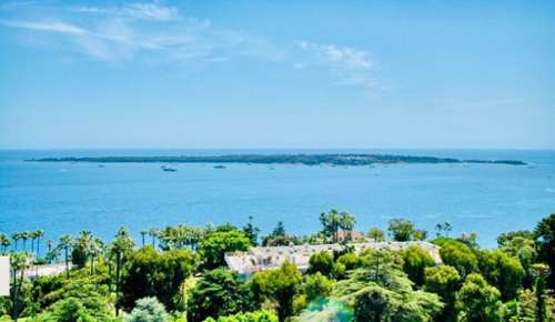 Cannes Alpes-Maritimes Wohnung/ Apartment Bild 7388394