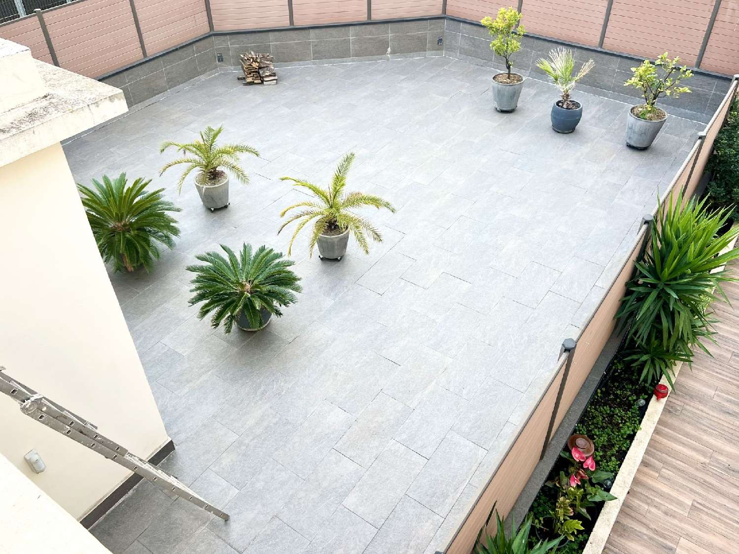 en venta apartamento Cannes Alpes-Maritimes 1