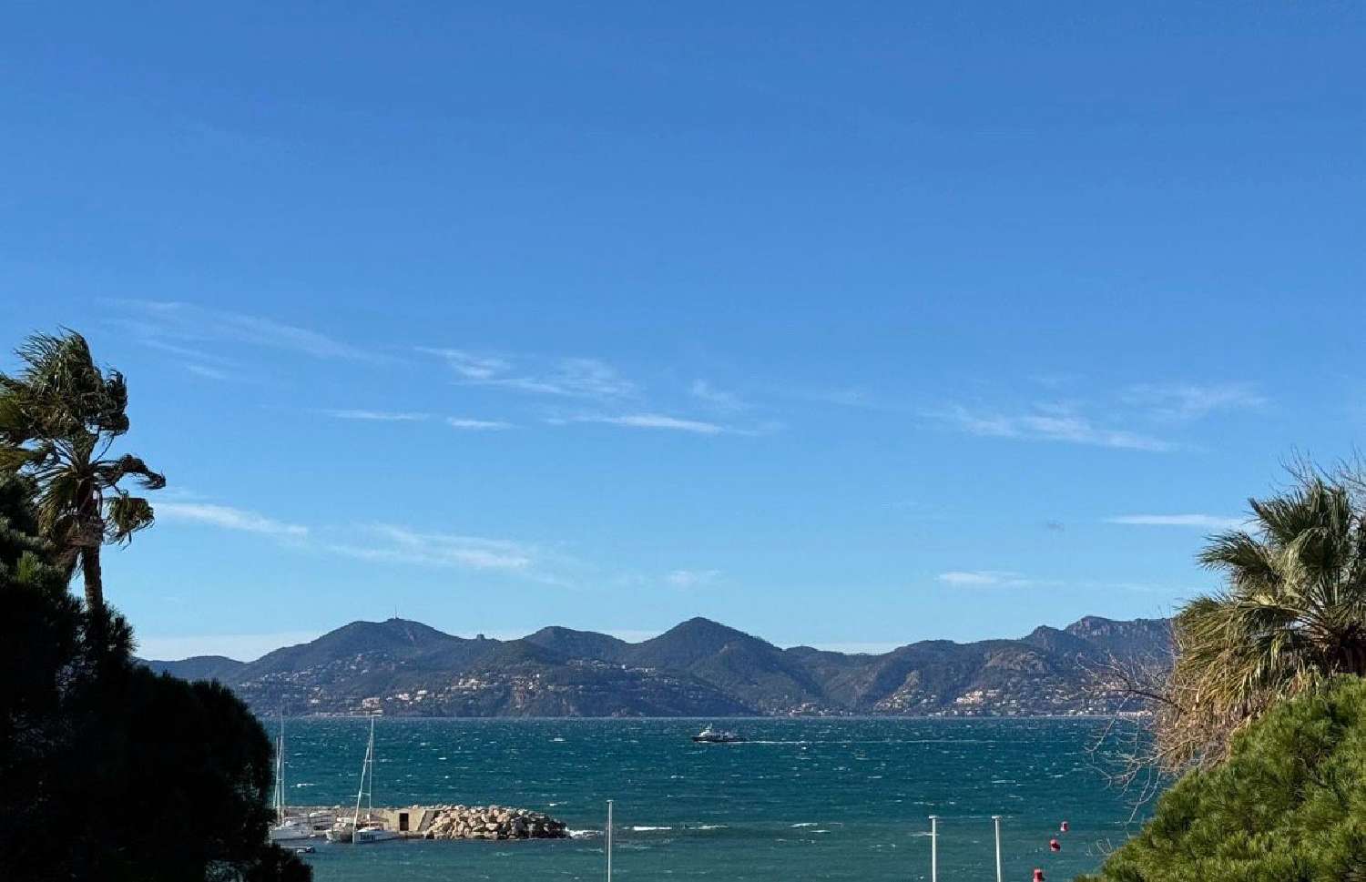 for sale apartment Cannes Alpes-Maritimes 1