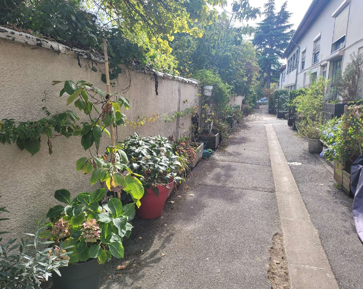 kaufen Wohnung/ Apartment Champigny-sur-Marne Val-de-Marne 7