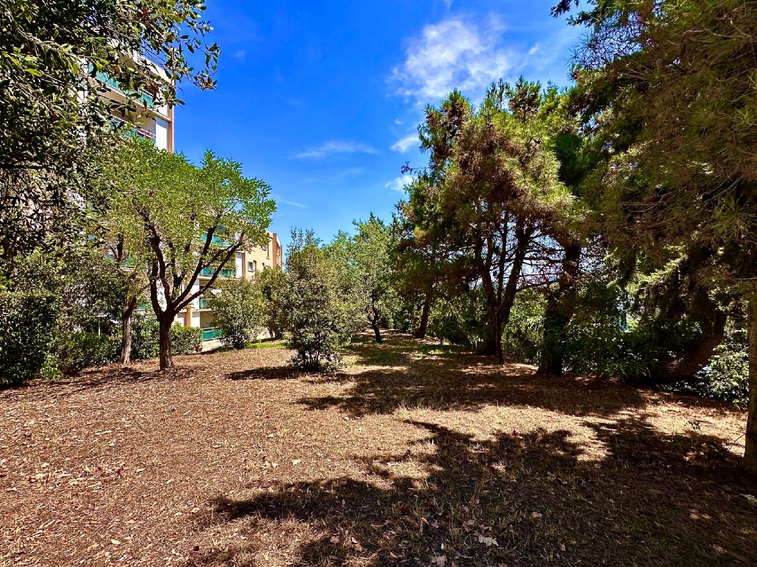  à vendre appartement Château Gombert Bouches-du-Rhône 8
