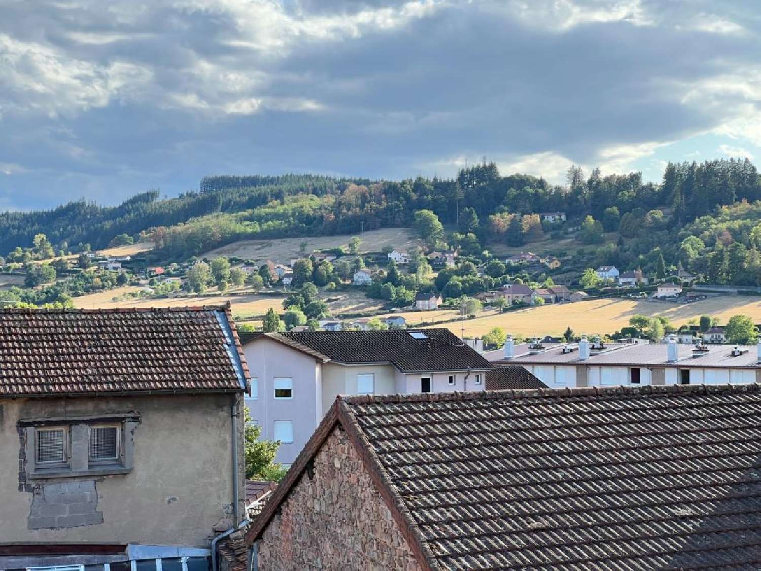  for sale apartment Chauffailles Saône-et-Loire 7