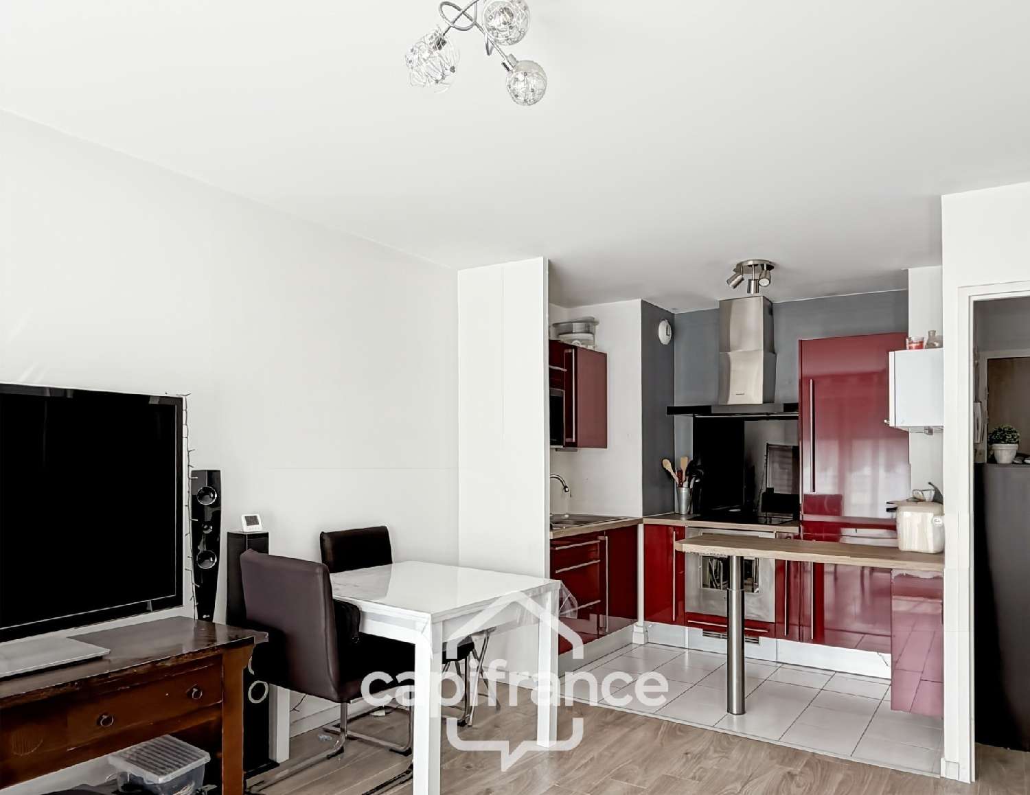 te koop appartement Dammartin-en-Goële Seine-et-Marne 2