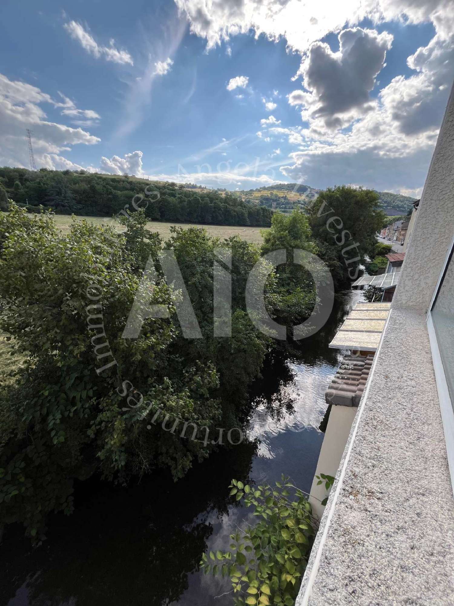 for sale apartment Dareizé Rhône 6