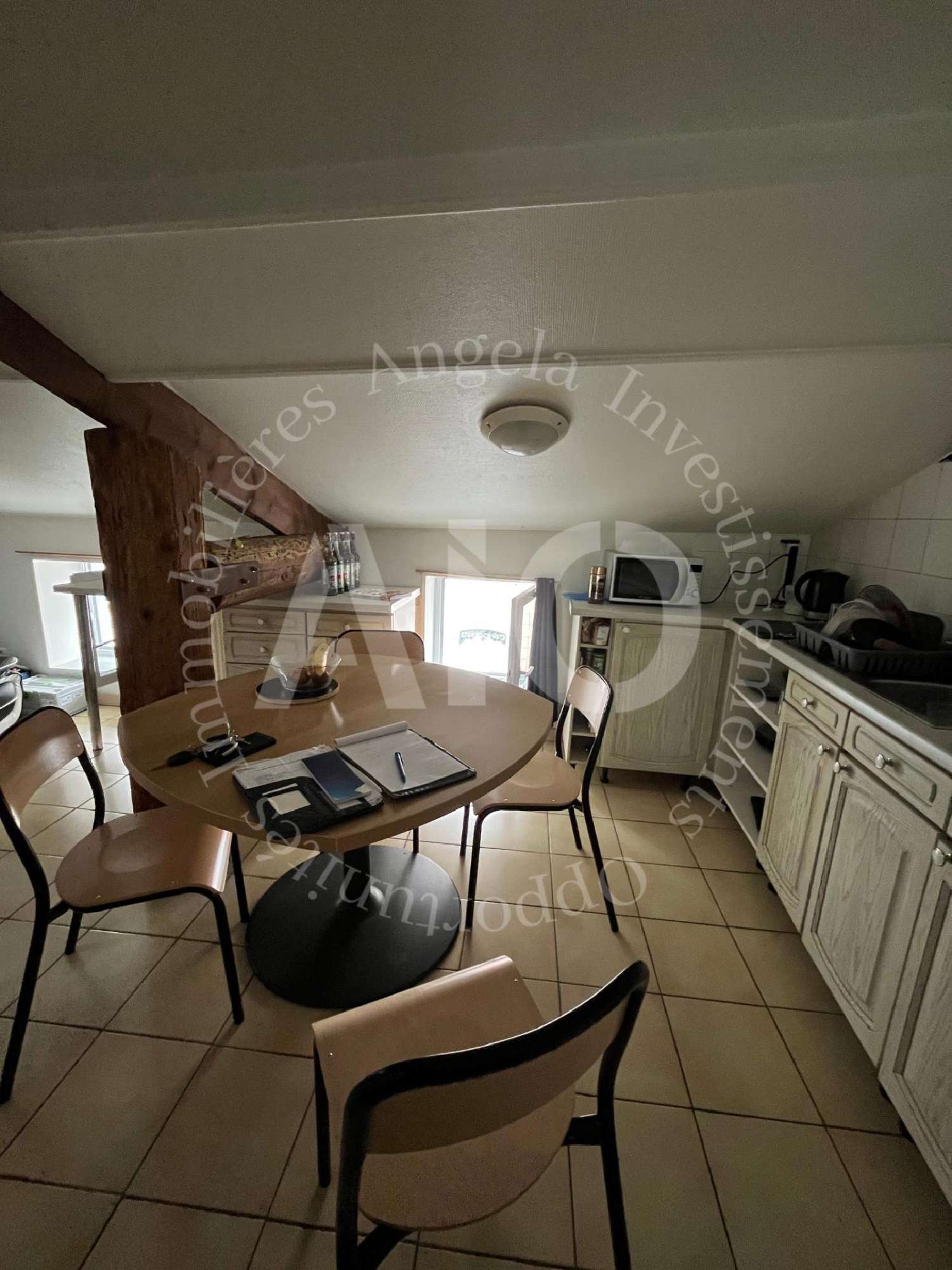  for sale apartment Dareizé Rhône 4