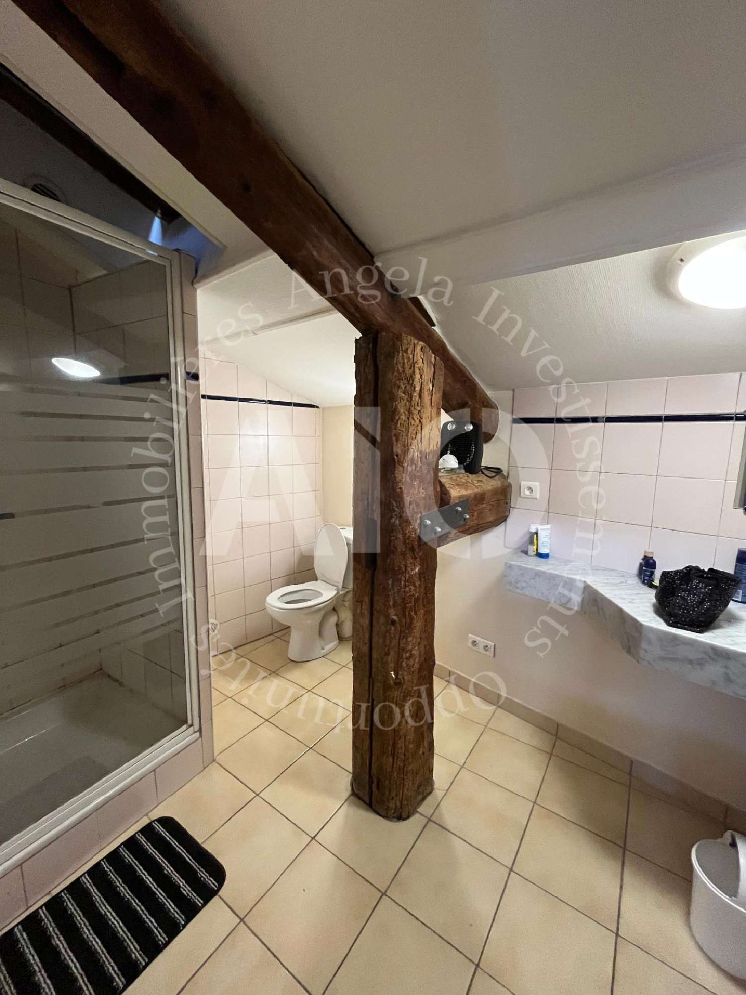  for sale apartment Dareizé Rhône 5