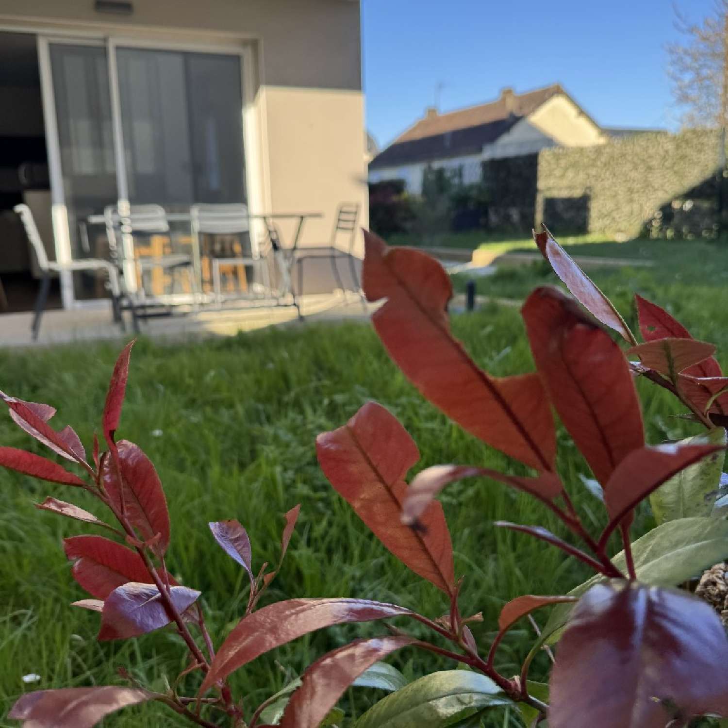 for sale apartment Dinard Ille-et-Vilaine 8