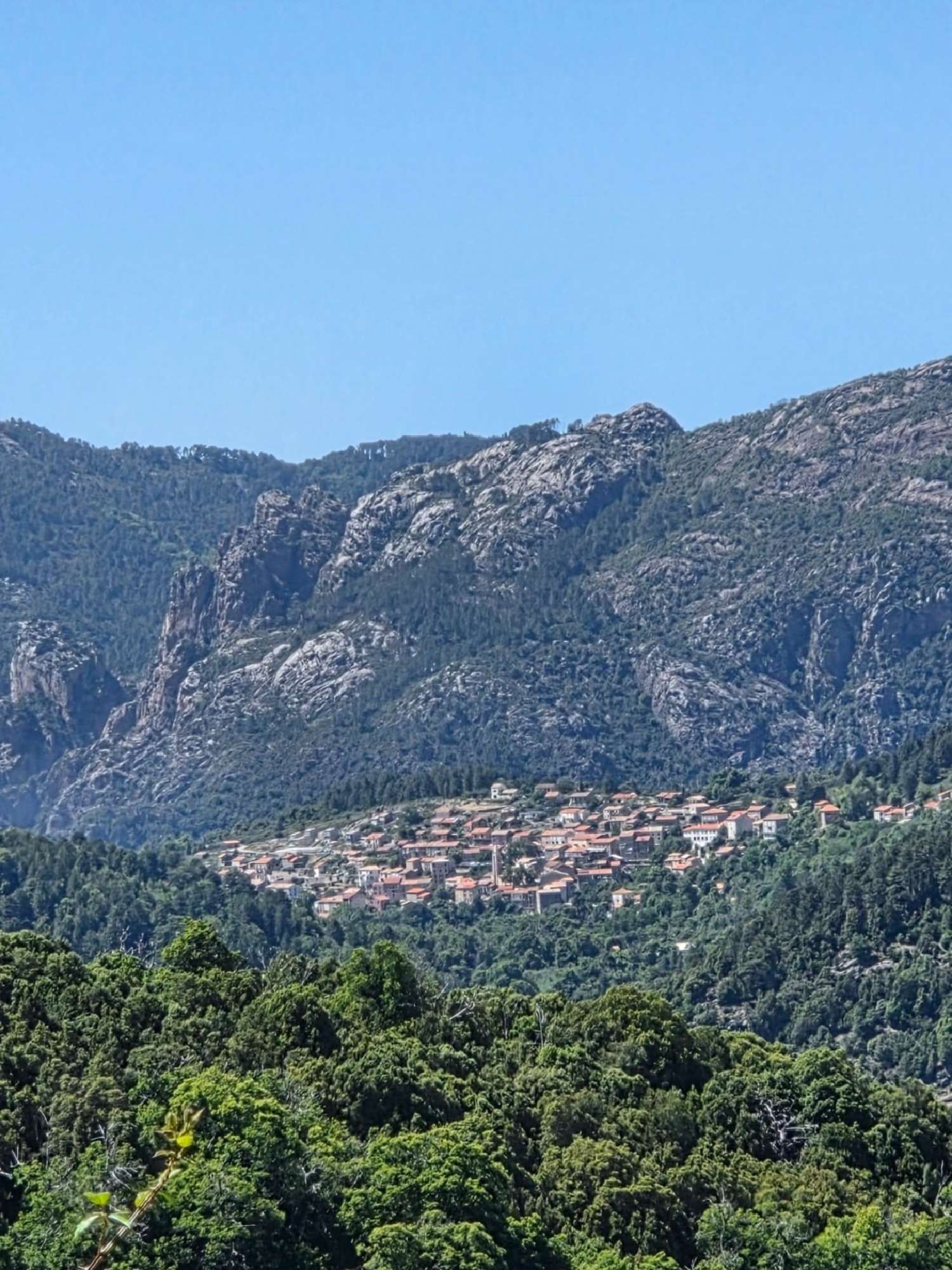  à vendre appartement Evisa Corse-du-Sud 1