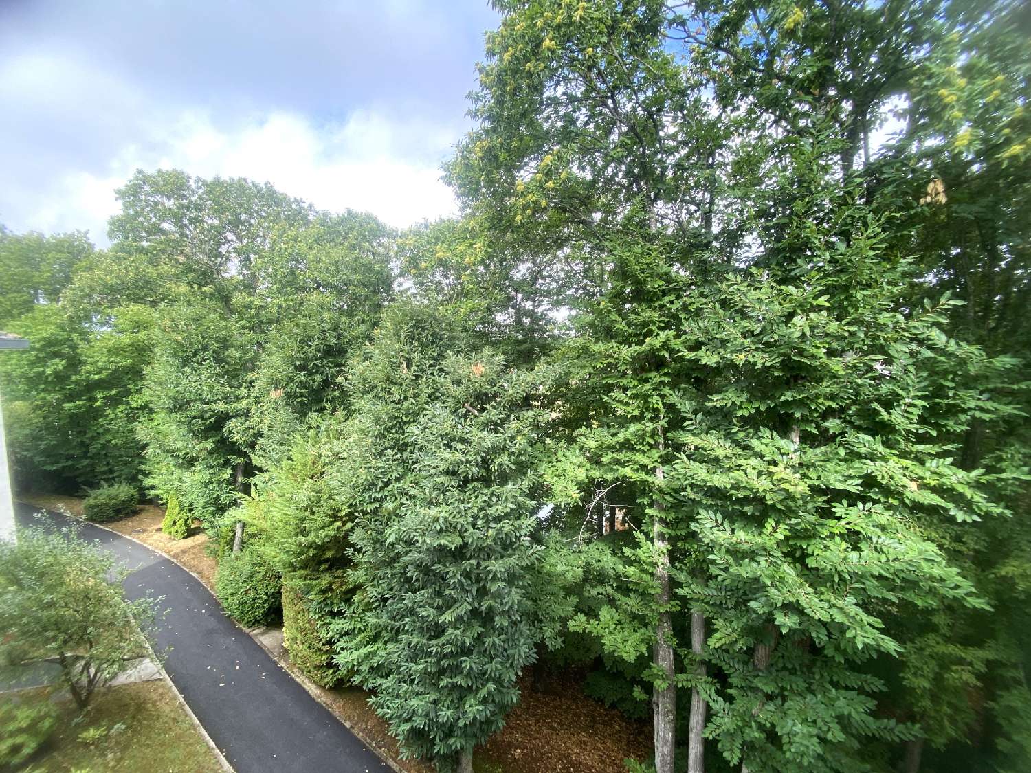 kaufen Wohnung/ Apartment Jouars-Pontchartrain Yvelines 8