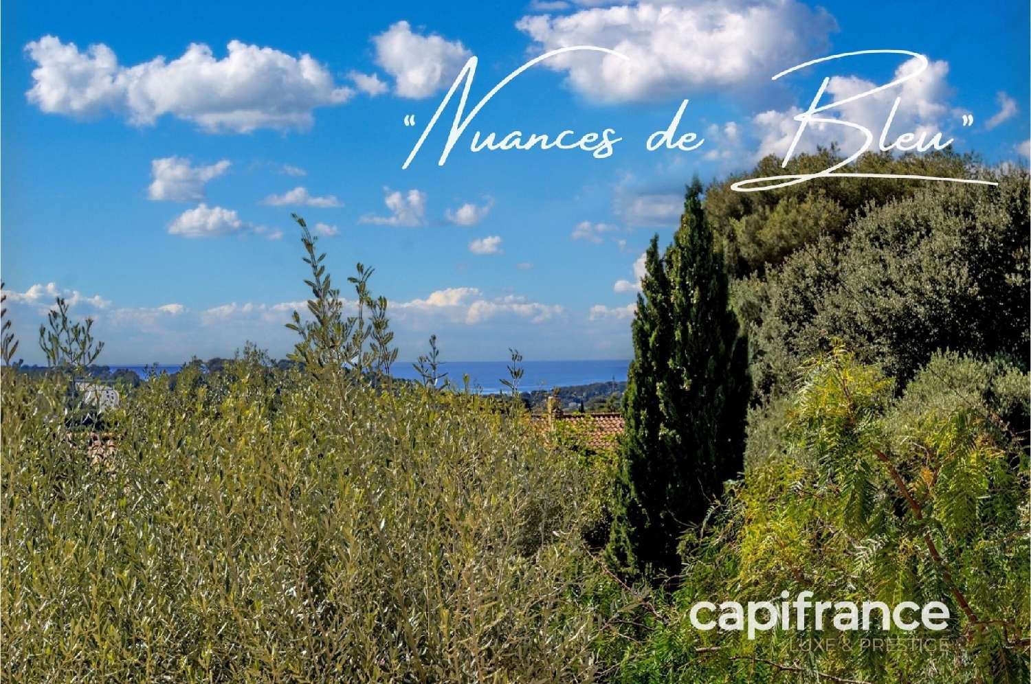  for sale apartment La Ciotat Bouches-du-Rhône 3