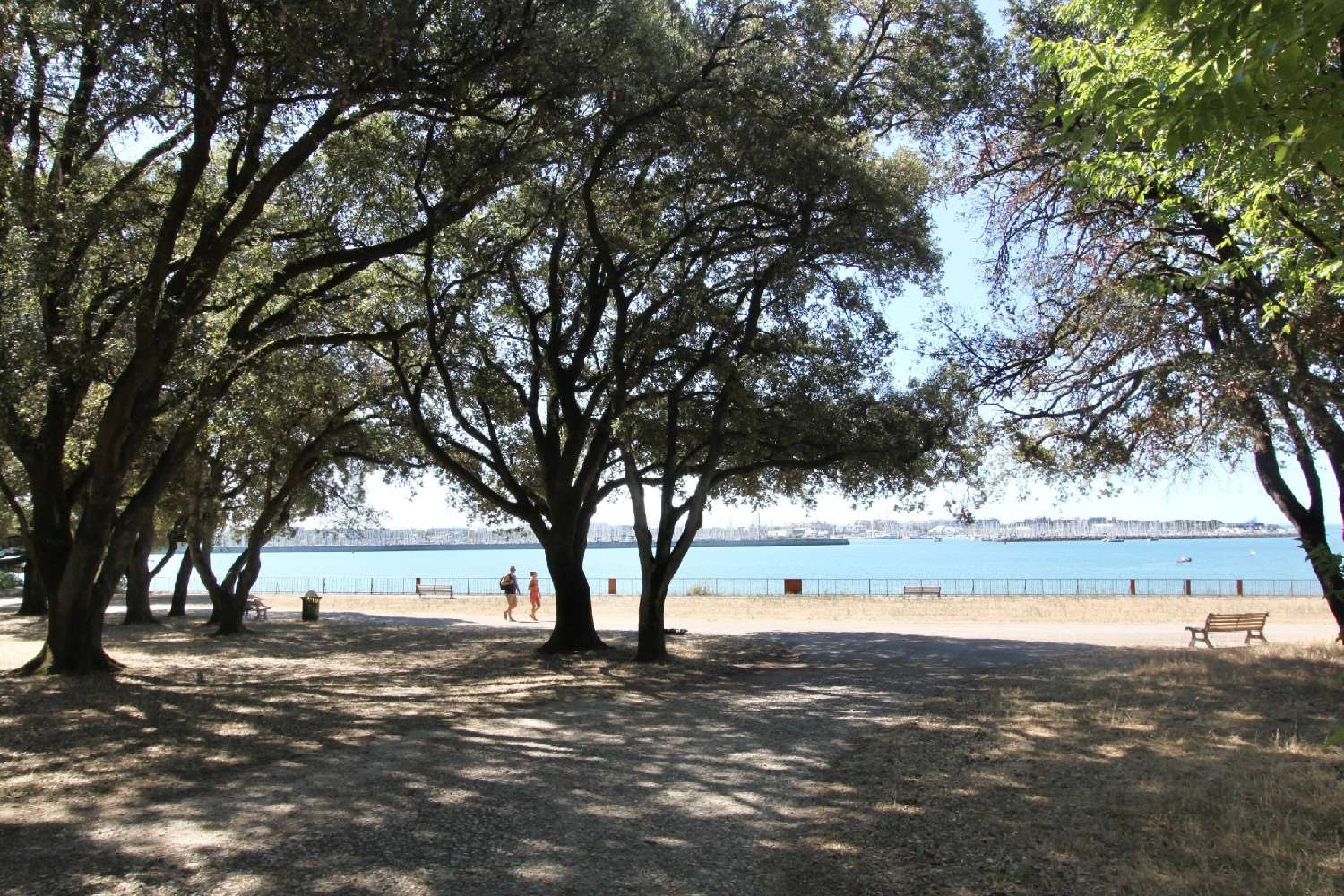 for sale apartment La Rochelle Charente-Maritime 1