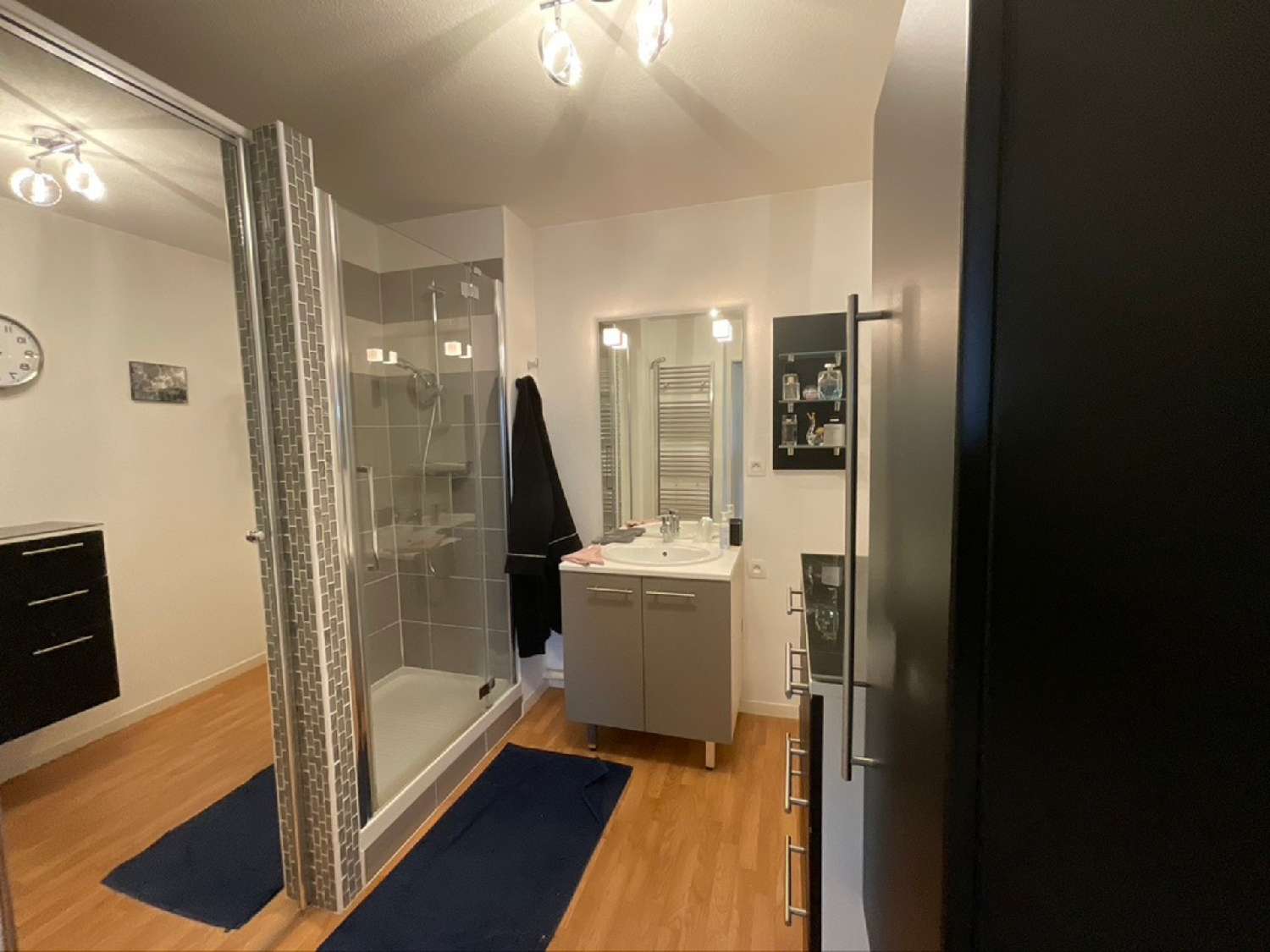  à vendre appartement La Salvetat-Saint-Gilles Haute-Garonne 7