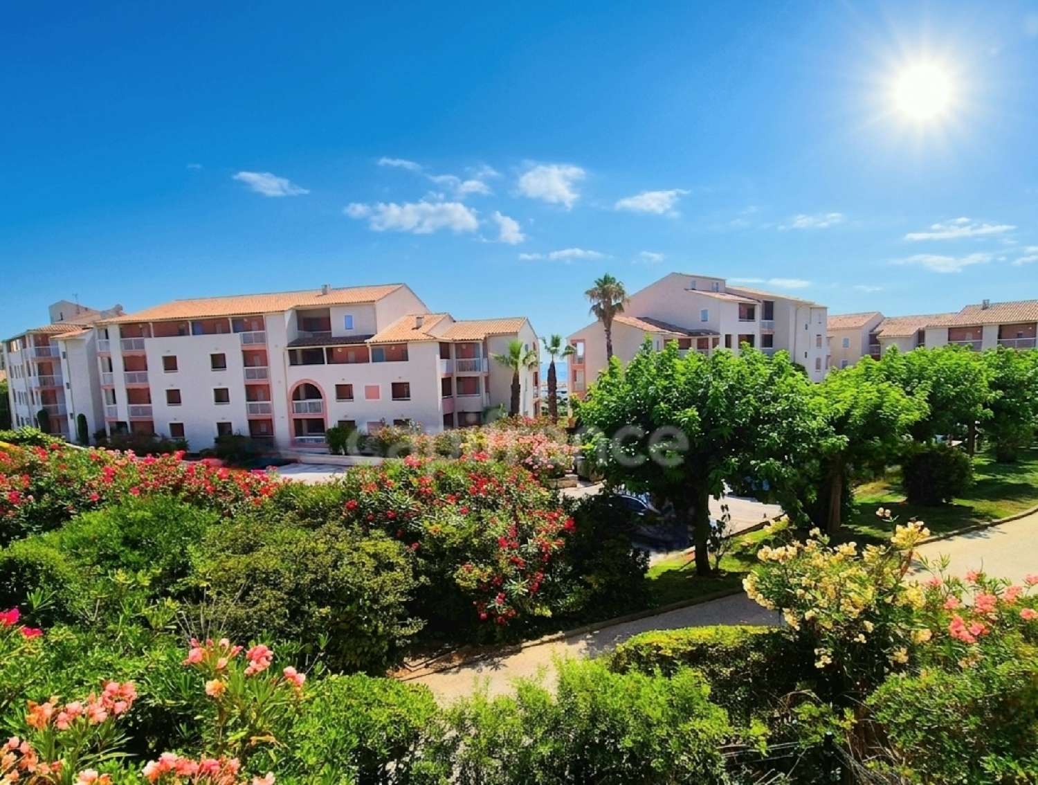à vendre appartement Le Brusc Var 2