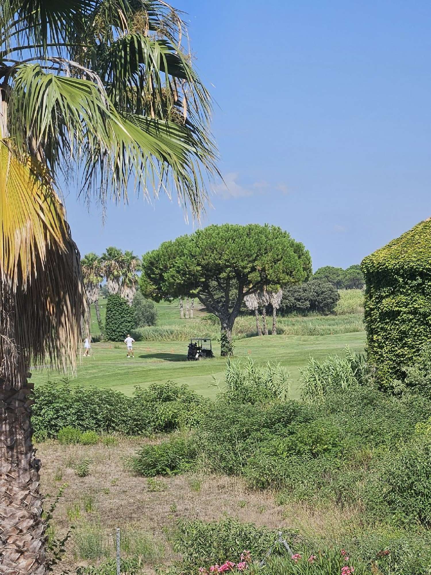 à vendre appartement Le Cap d'Agde Hérault 2