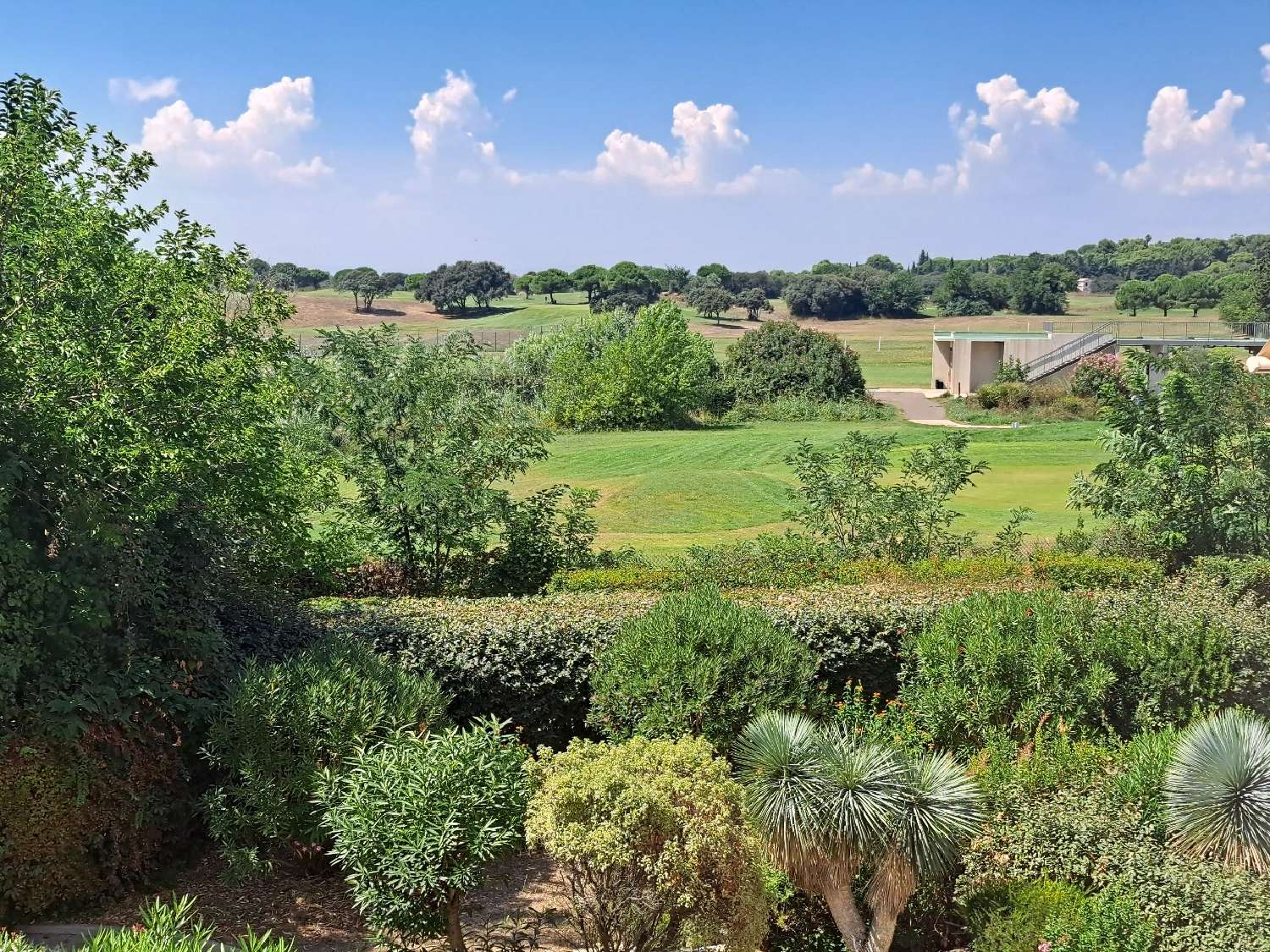 te koop appartement Le Cap d'Agde Hérault 1