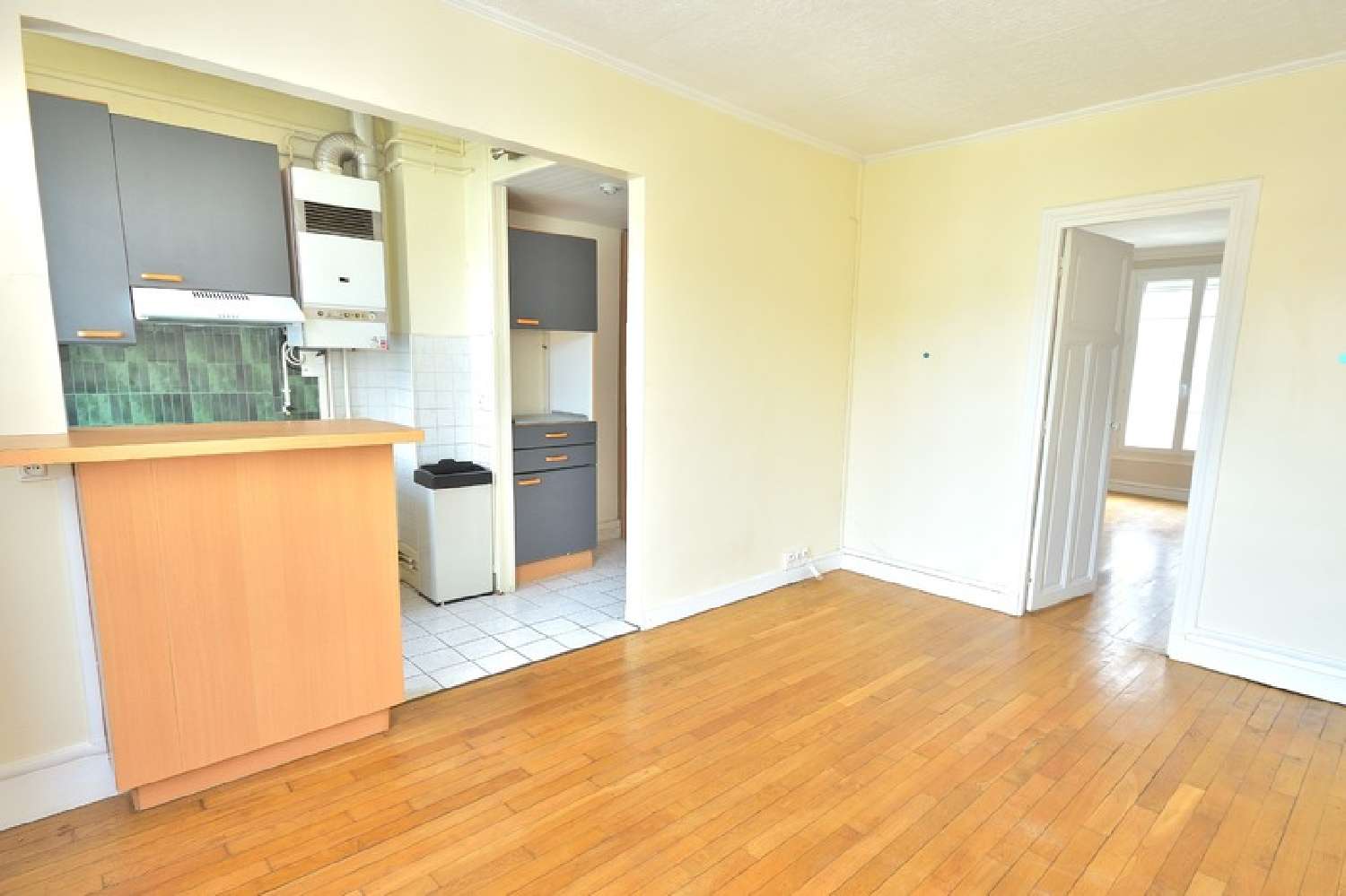  te koop appartement Le Plessis-Robinson Hauts-de-Seine 4