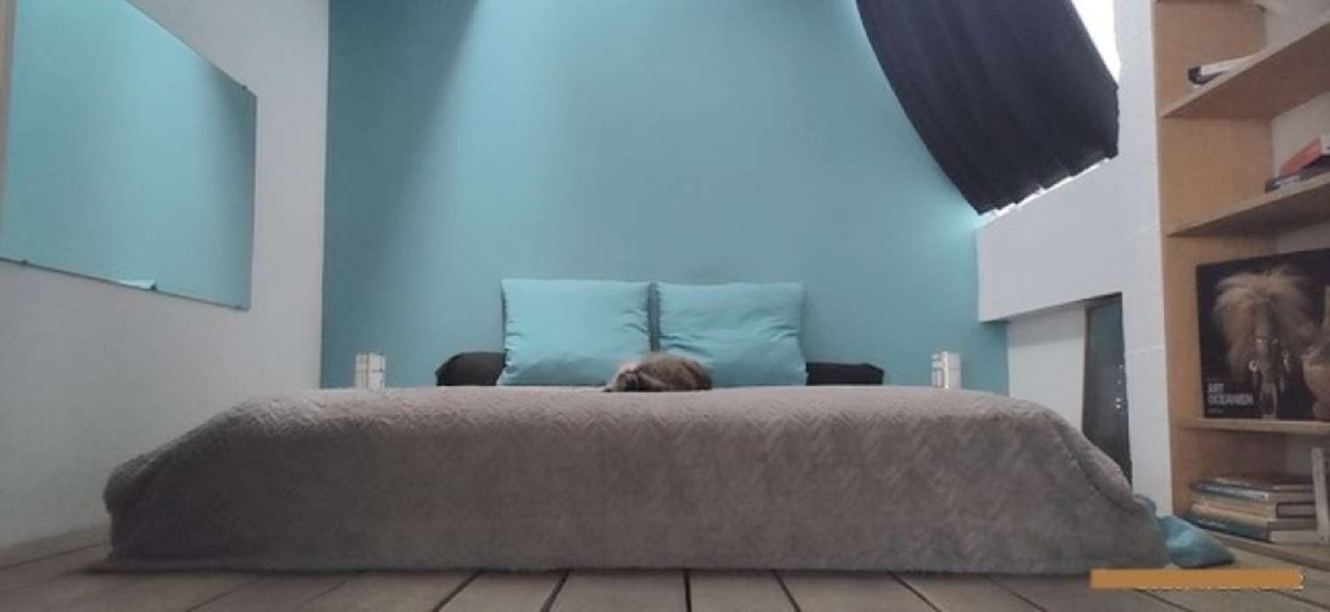  à vendre appartement Les Lilas Seine-Saint-Denis 5