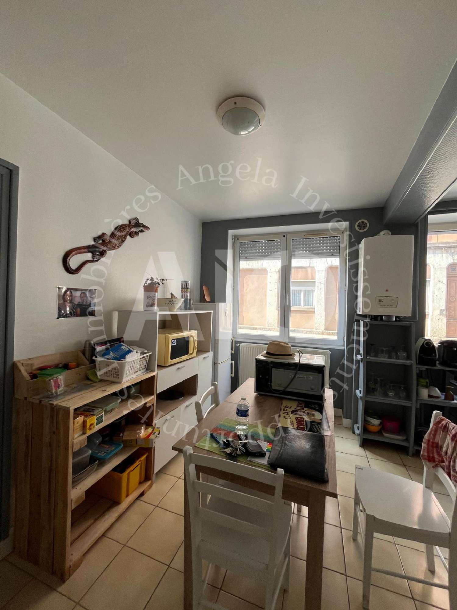 kaufen Wohnung/ Apartment Les Olmes Rhône 2
