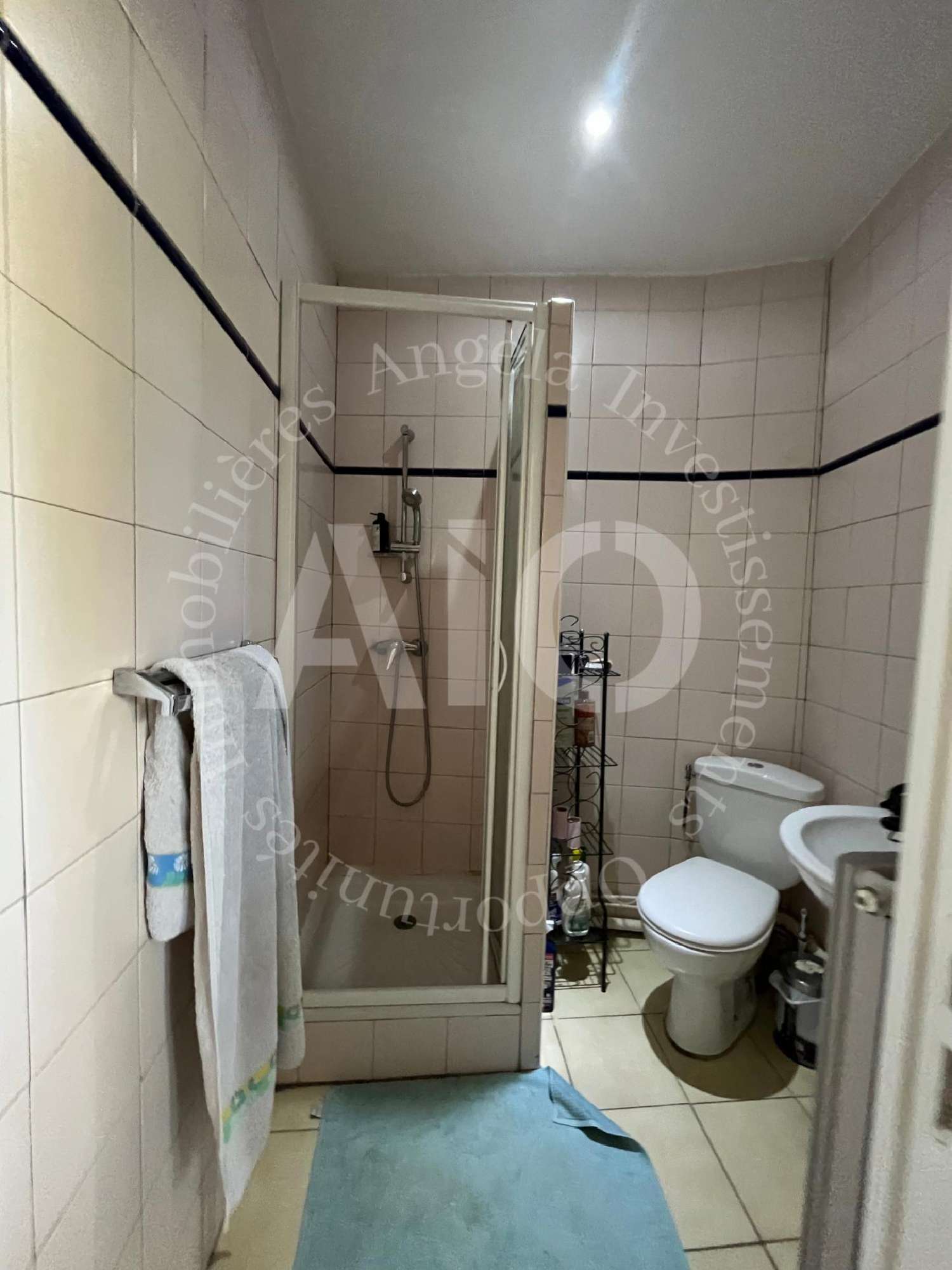 kaufen Wohnung/ Apartment Les Olmes Rhône 8