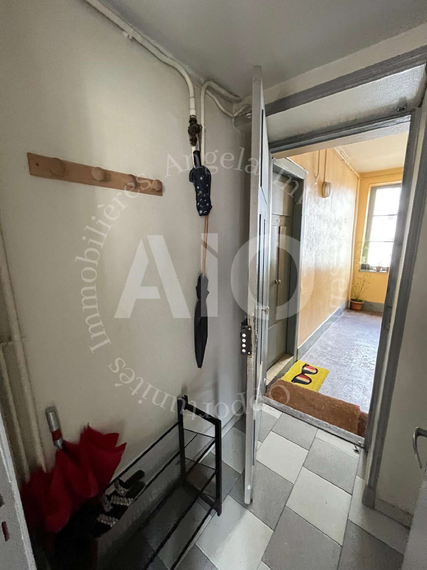  te koop appartement Lyon 3e Arrondissement Rhône 4