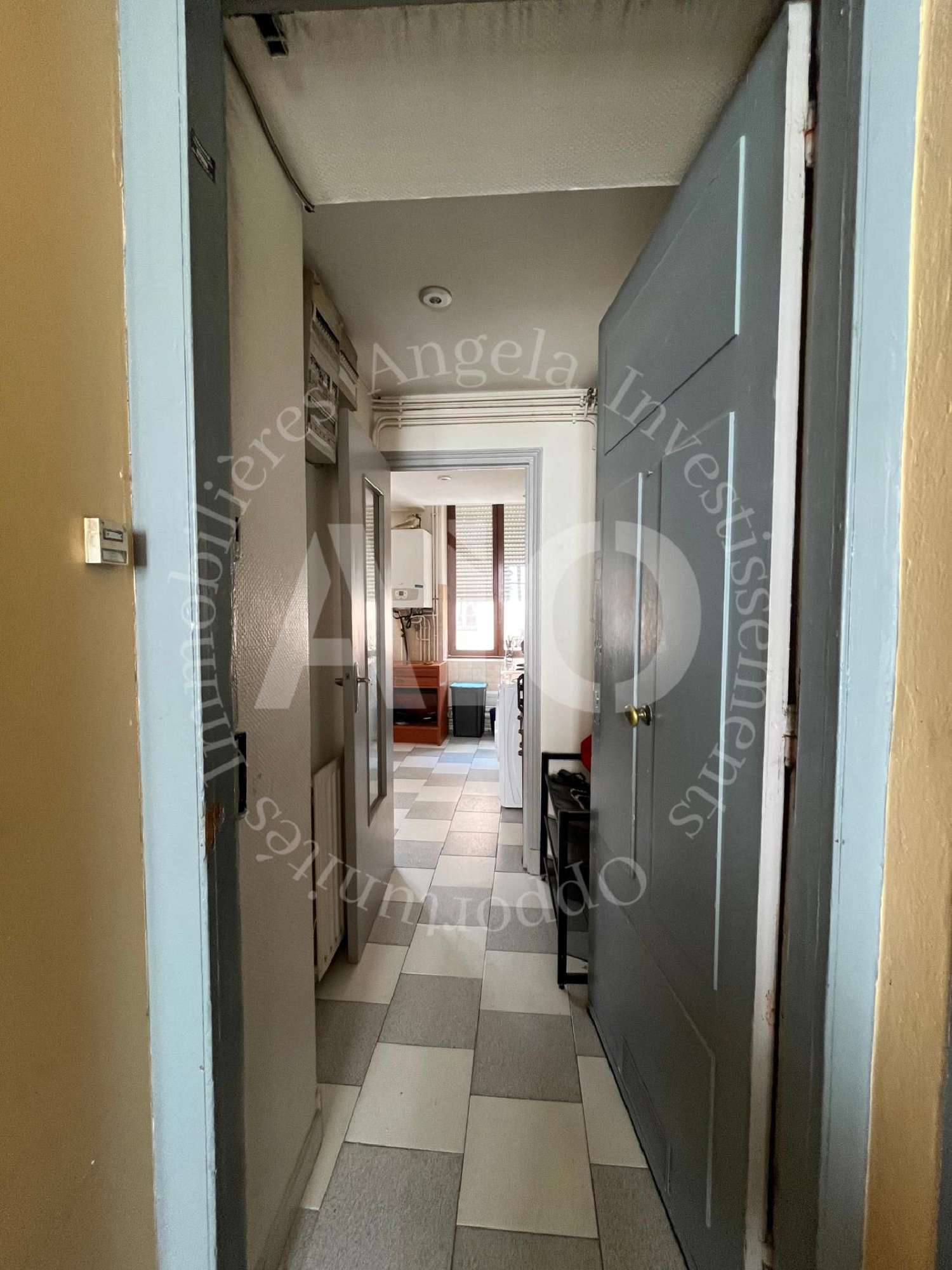  te koop appartement Lyon 3e Arrondissement Rhône 6
