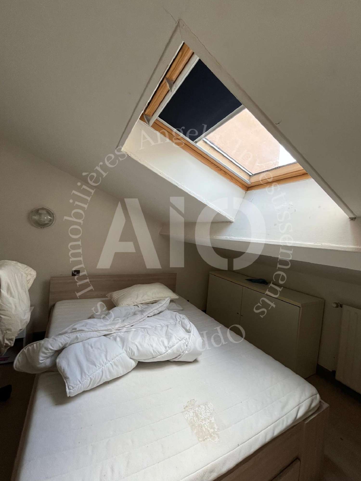  te koop appartement Lyon 3e Arrondissement Rhône 8