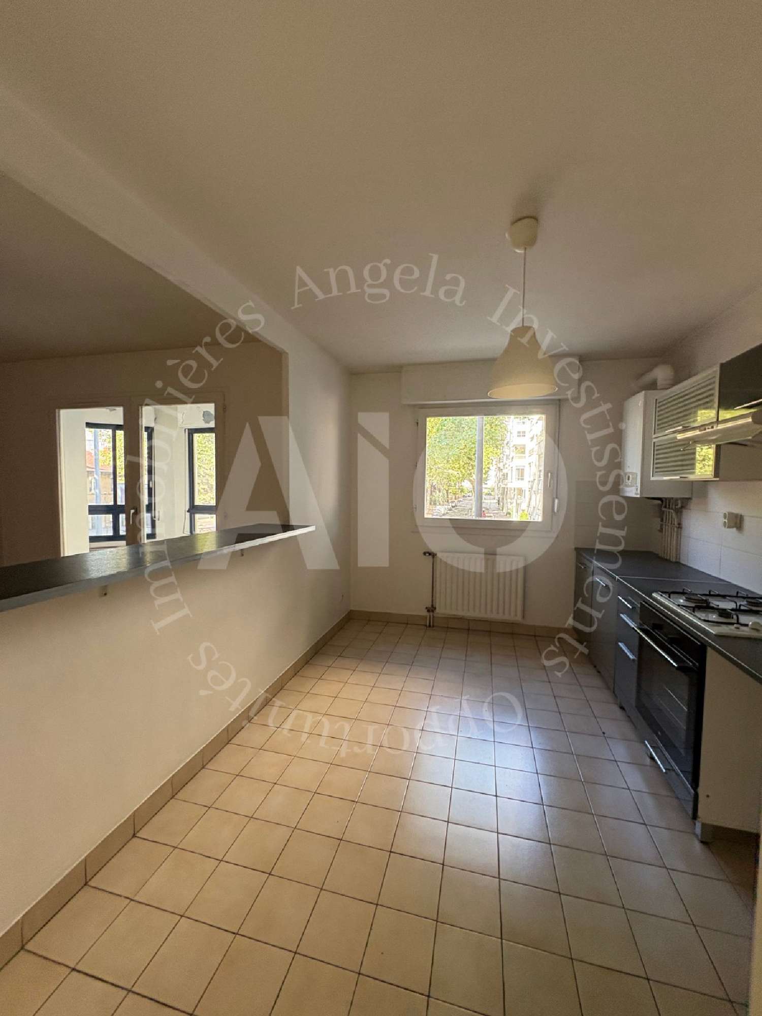 kaufen Wohnung/ Apartment Lyon 3e Arrondissement Rhône 4