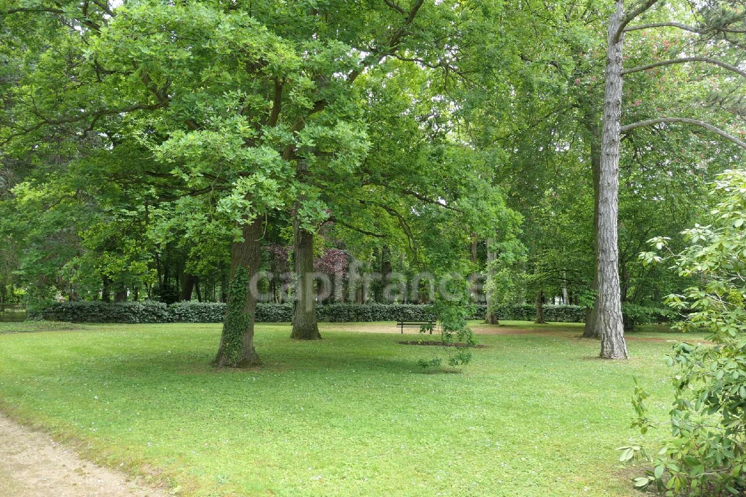 for sale apartment Maisons-Laffitte Yvelines 3