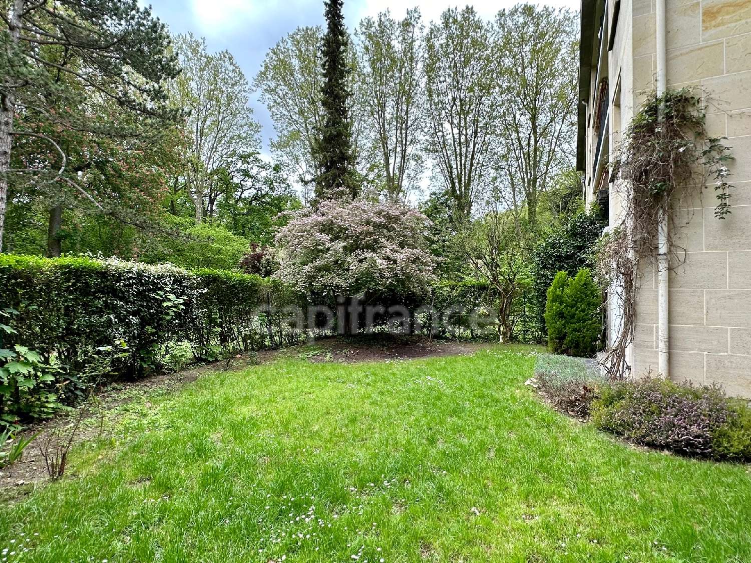 for sale apartment Maisons-Laffitte Yvelines 8