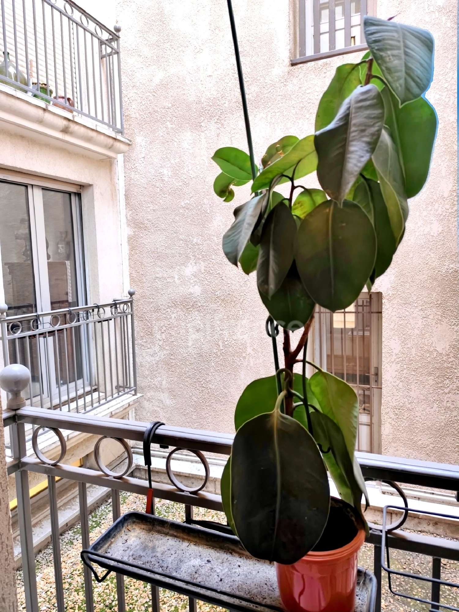 en venta apartamento Montpellier Hérault 8