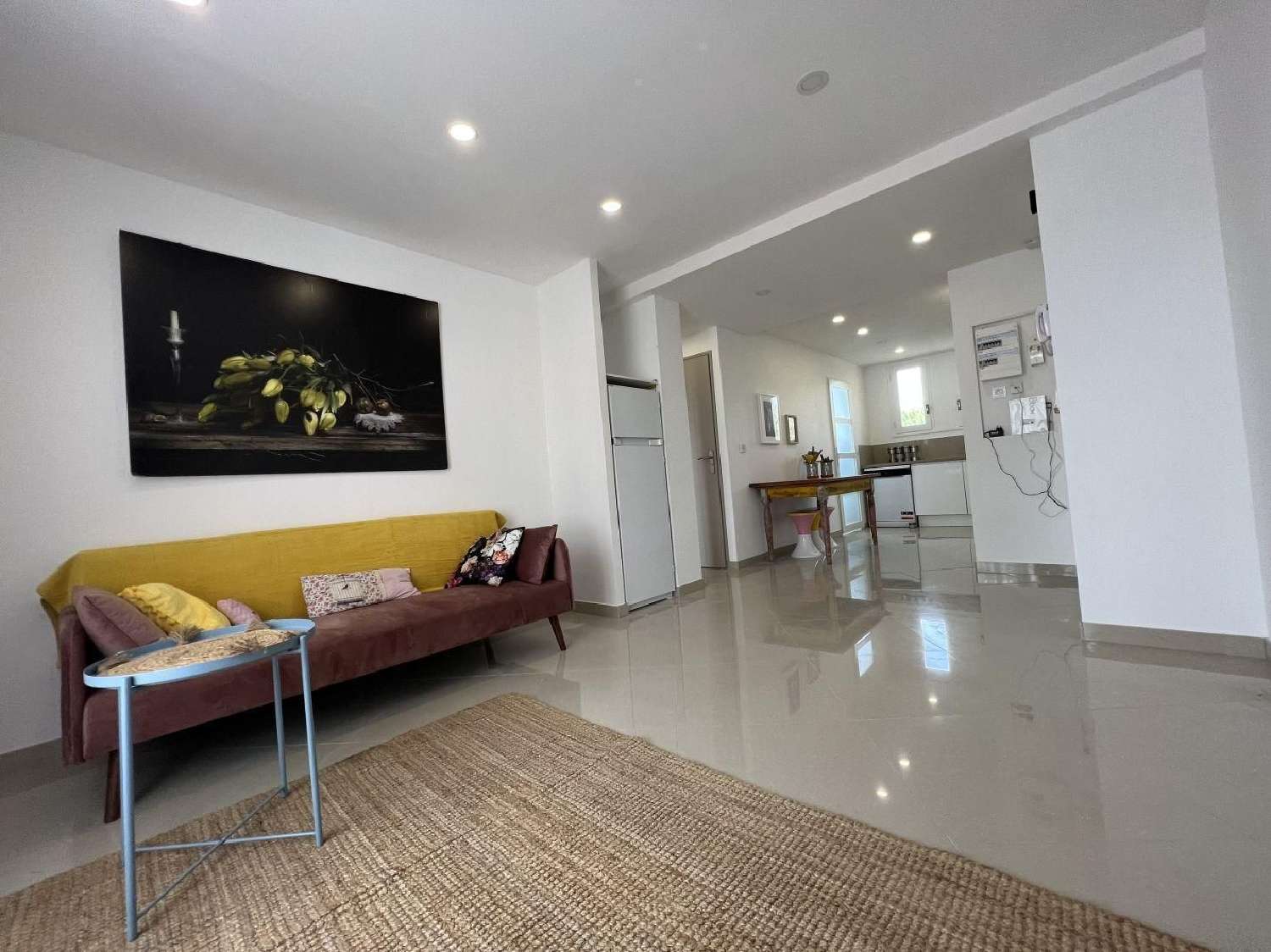  te koop appartement Montpellier Hérault 1