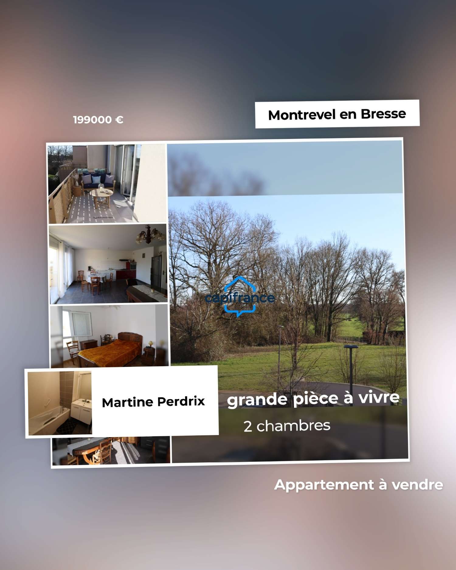 à vendre appartement Montrevel-en-Bresse Ain 1