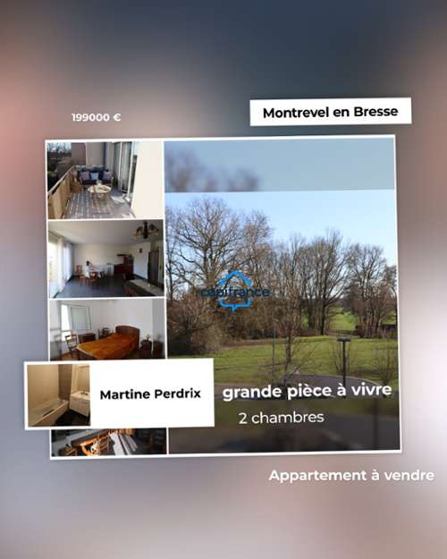 Montrevel-en-Bresse Ain appartement foto 7392121