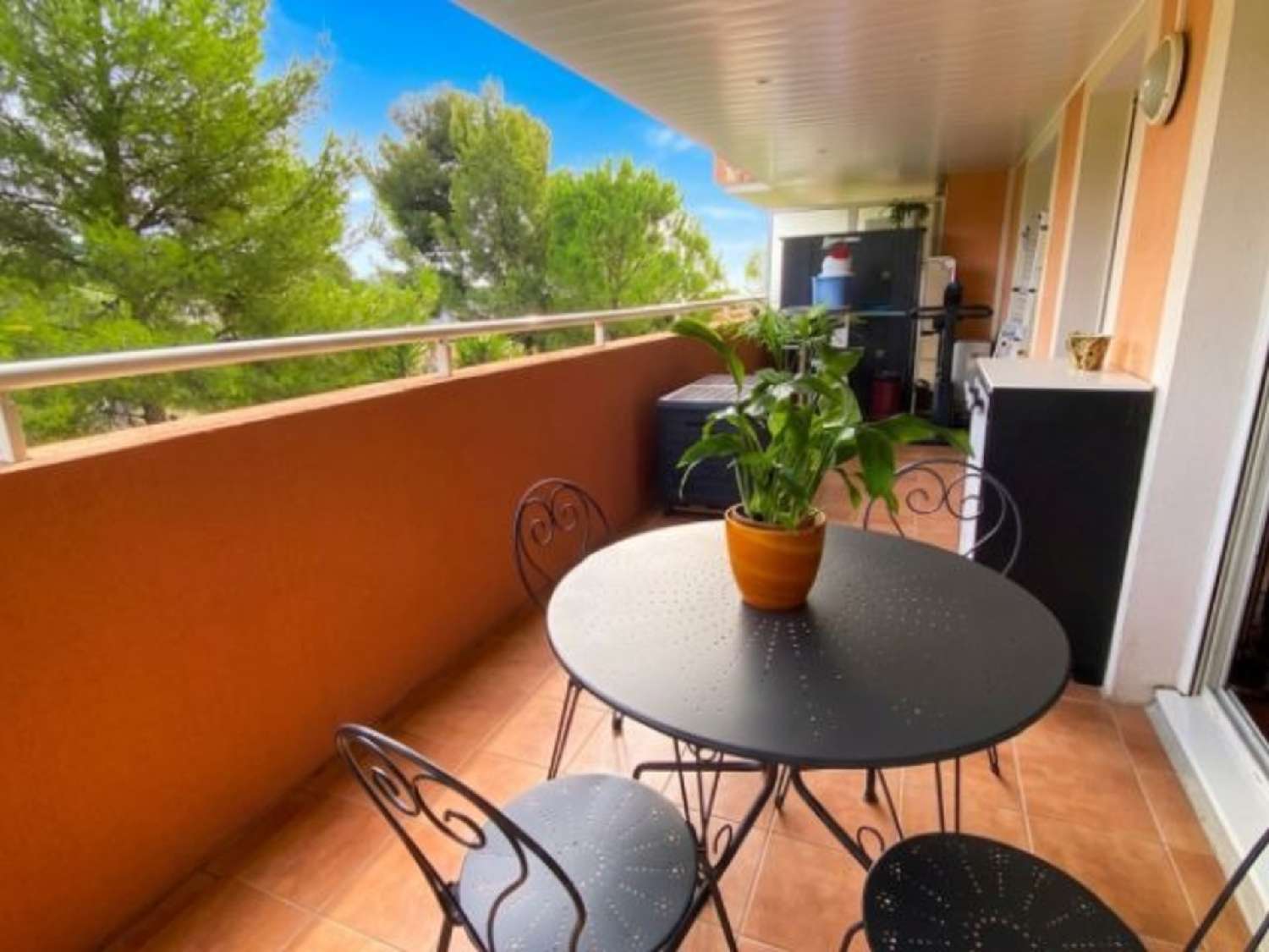à vendre appartement Nice 06200 Alpes-Maritimes 6