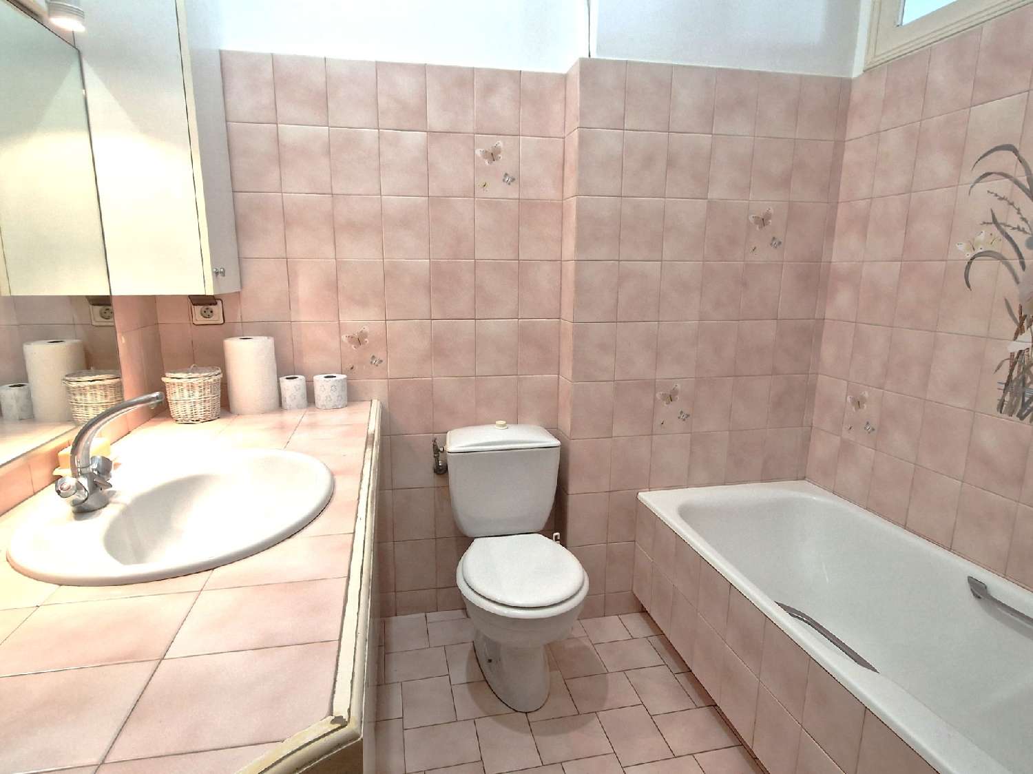 à vendre appartement Nice 06300 Alpes-Maritimes 5