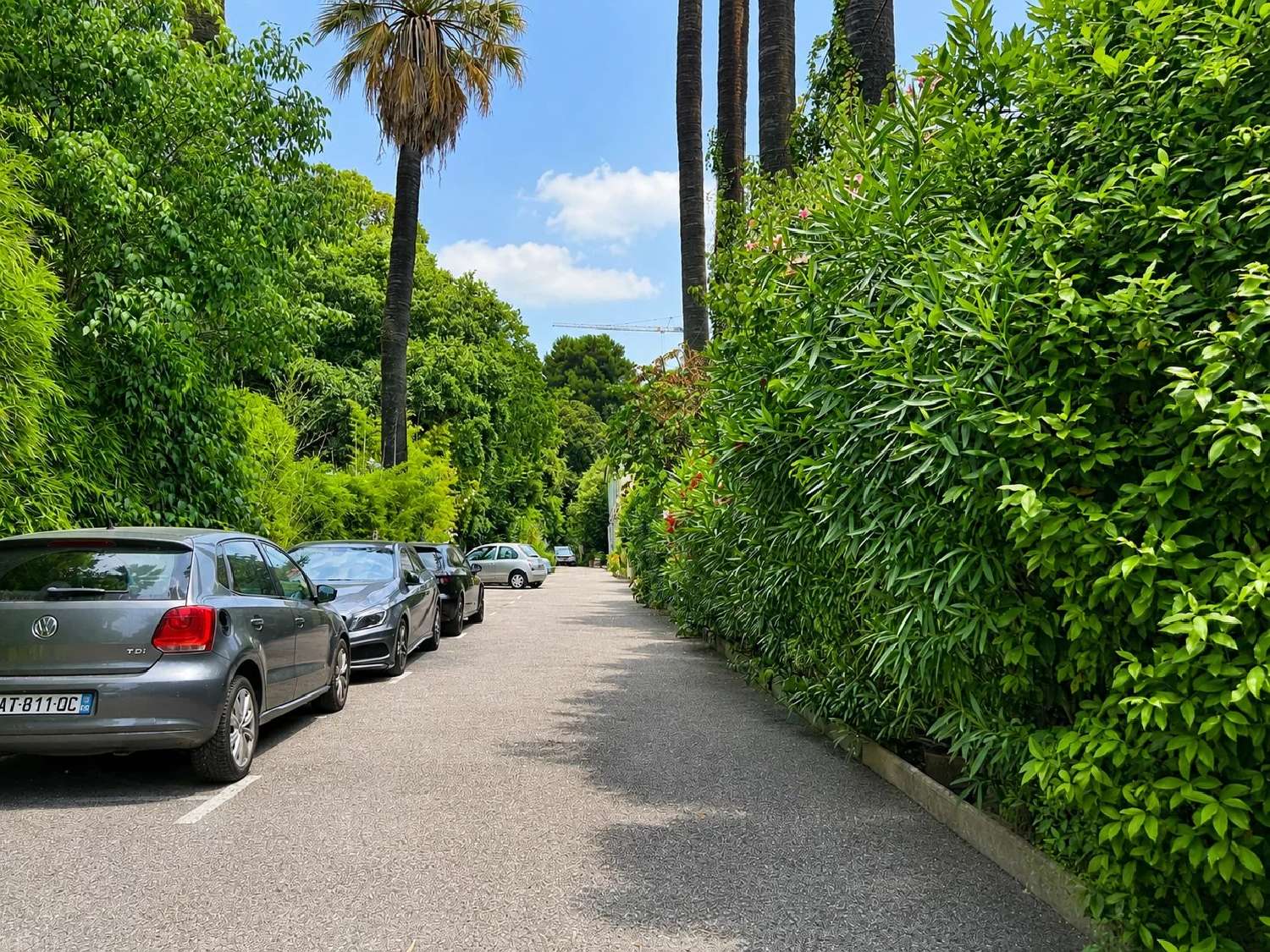 à vendre appartement Nice Alpes-Maritimes 2