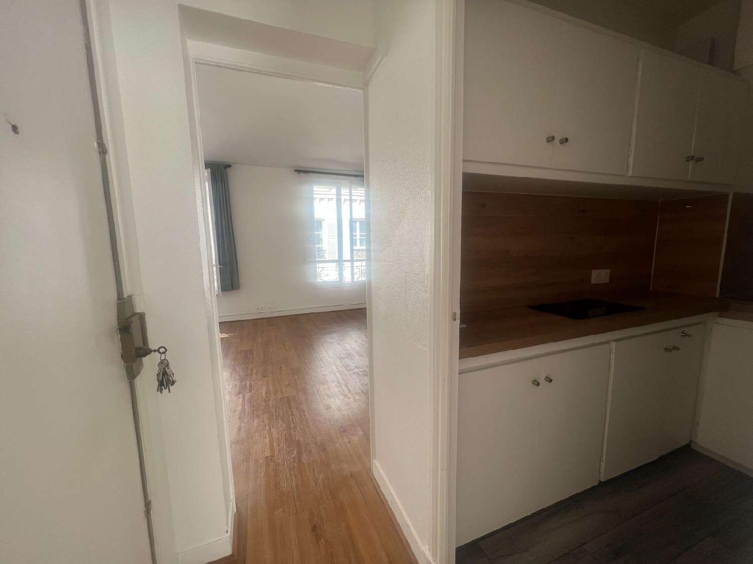 for sale apartment Paris 15e Arrondissement Paris (Seine) 5