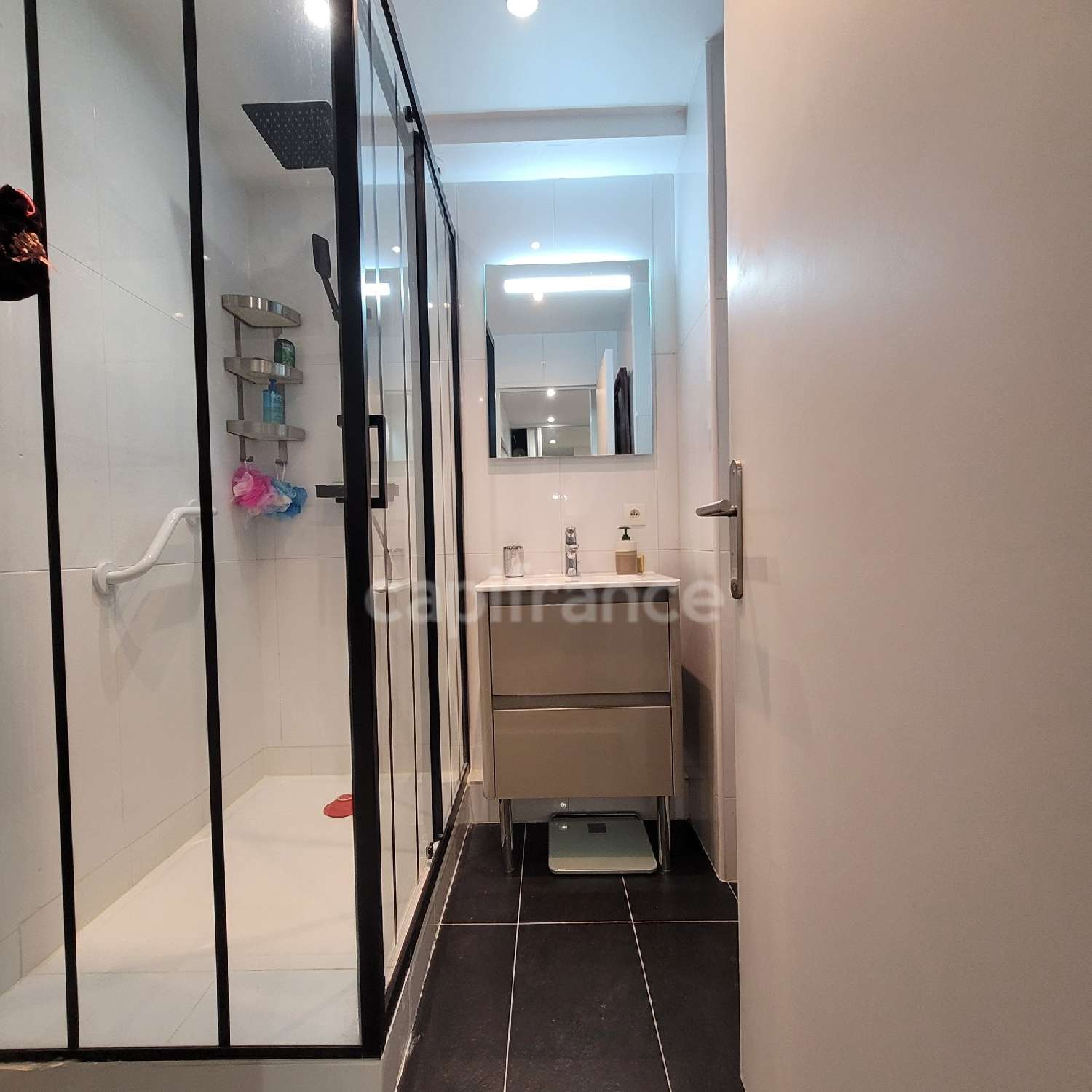 à vendre appartement Paris 19e Arrondissement Paris (Seine) 8
