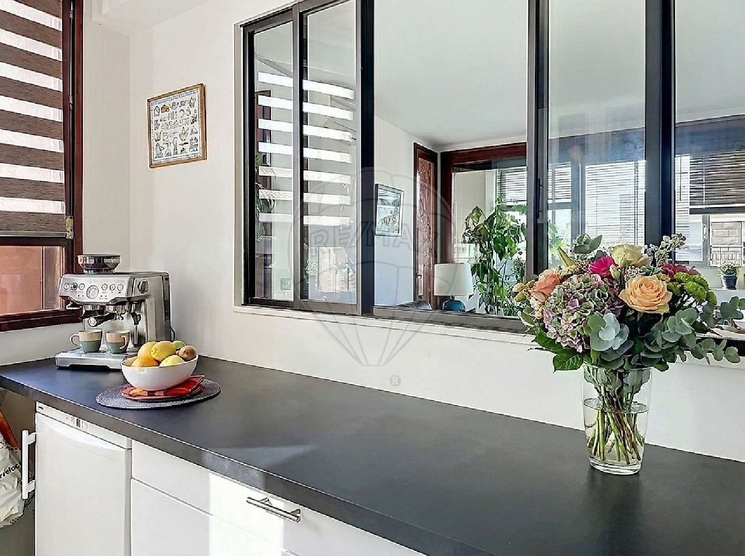 te koop appartement Perpignan Pyrénées-Orientales 4