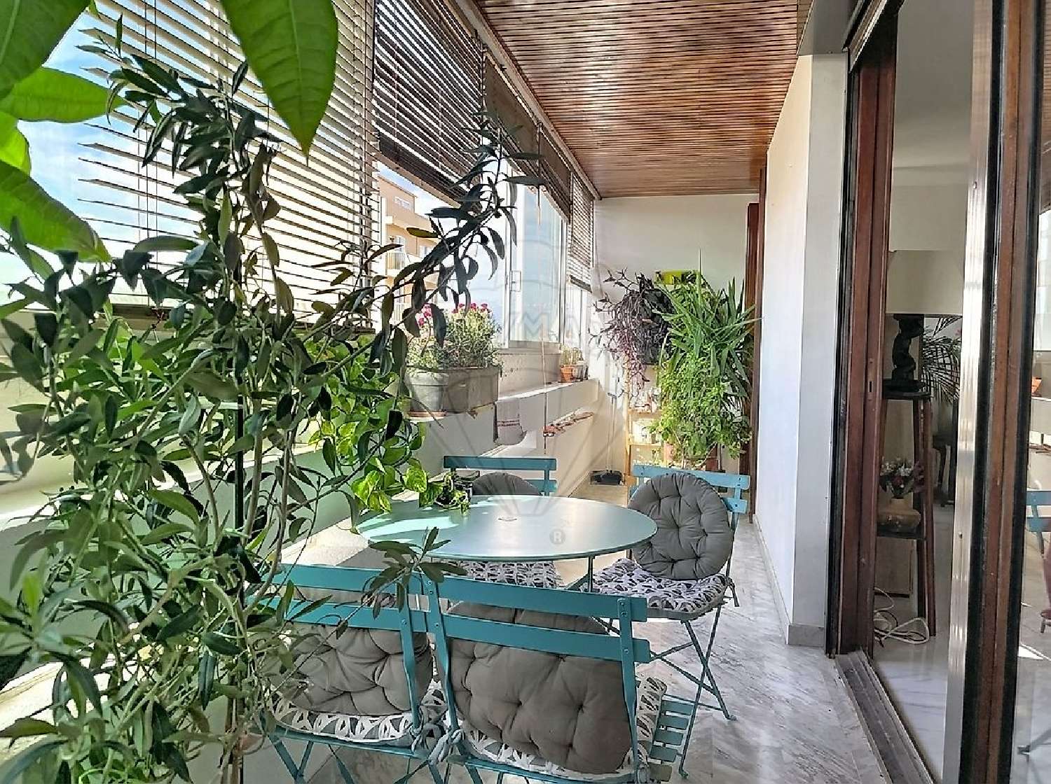 te koop appartement Perpignan Pyrénées-Orientales 7