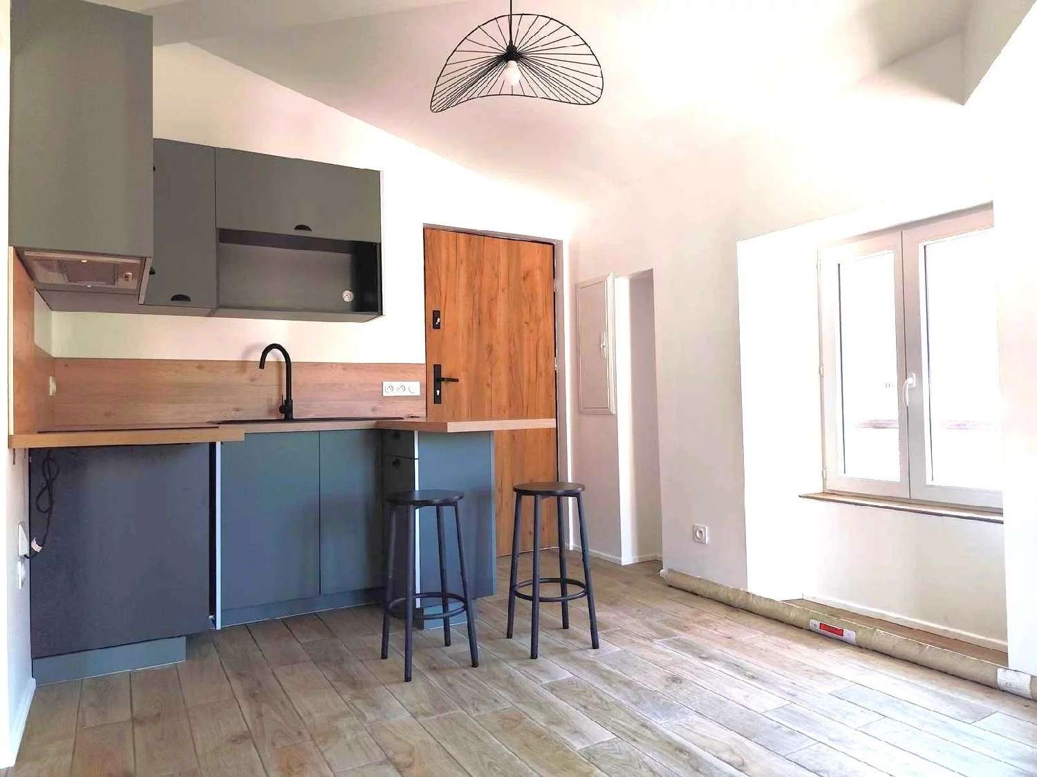  à vendre appartement Puget-Théniers Alpes-Maritimes 1