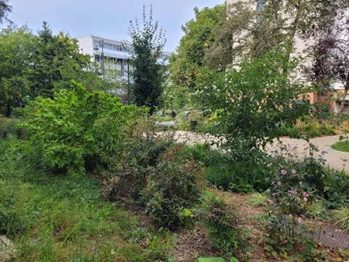 Saint-Germain-en-Laye Yvelines appartement foto 7386067