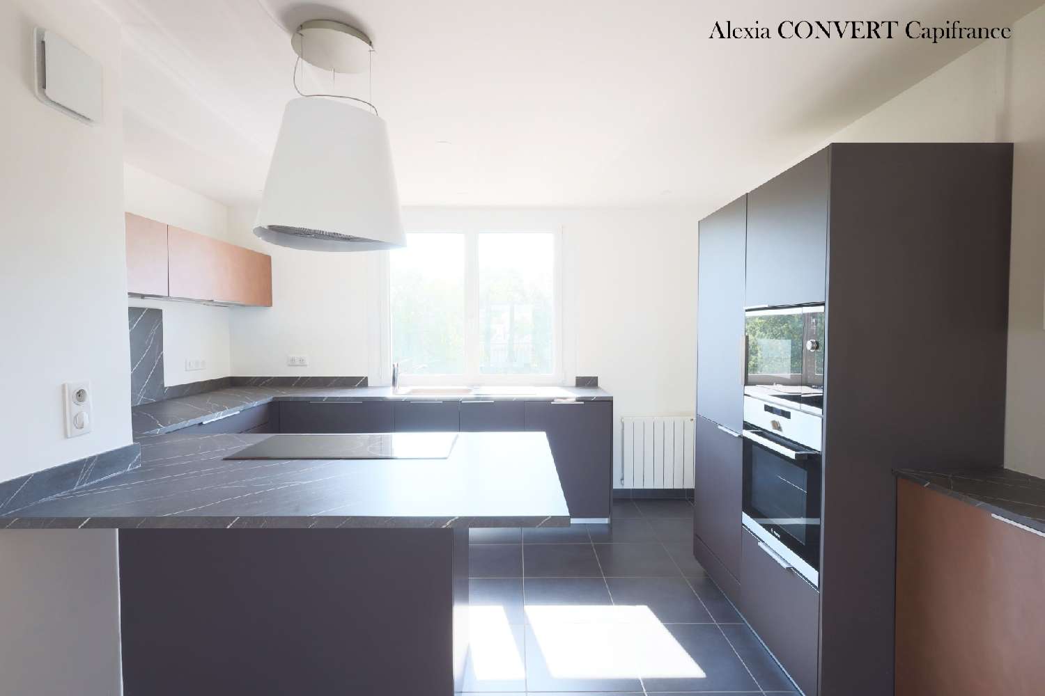 te koop appartement Saint-Laurent-sur-Saône Ain 2