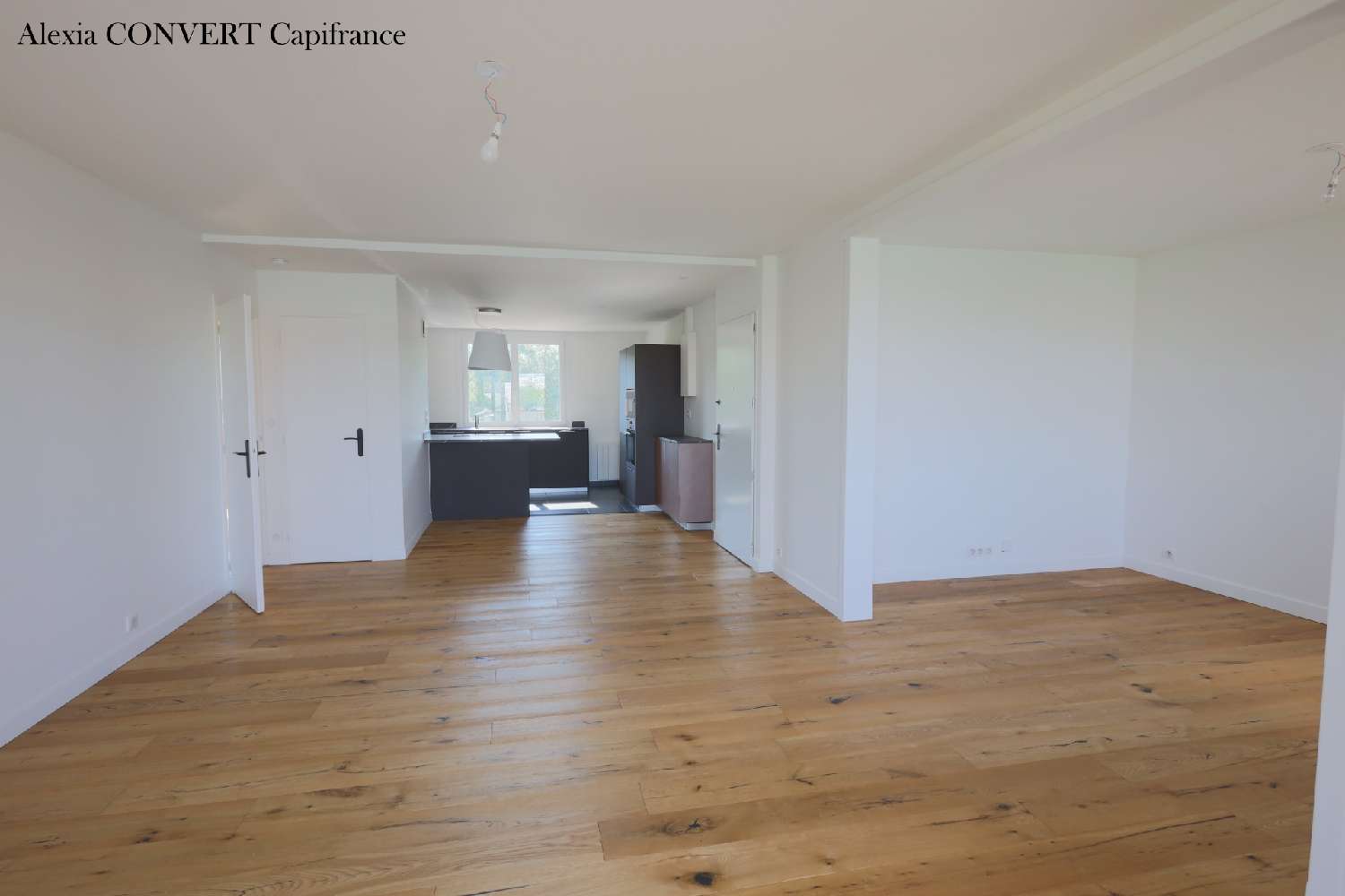 te koop appartement Saint-Laurent-sur-Saône Ain 3