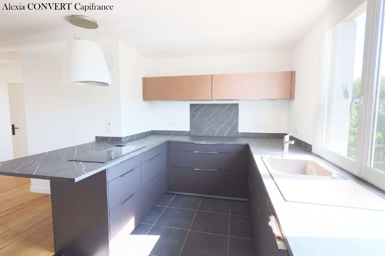te koop appartement Saint-Laurent-sur-Saône Ain 4