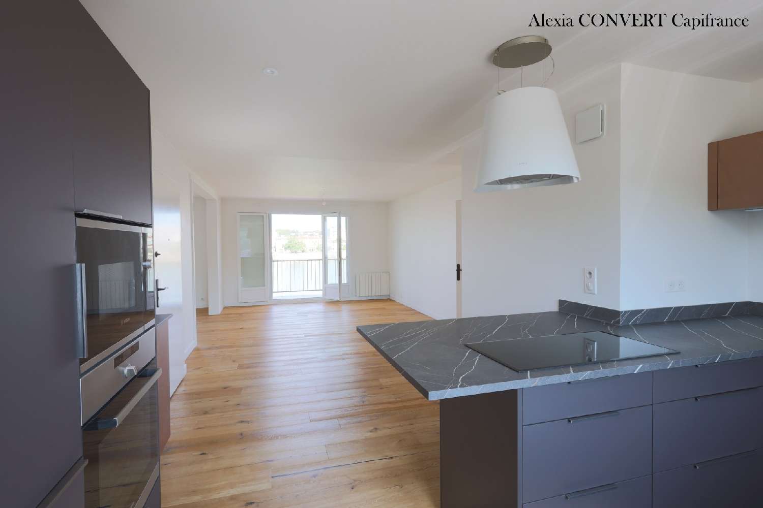 te koop appartement Saint-Laurent-sur-Saône Ain 6