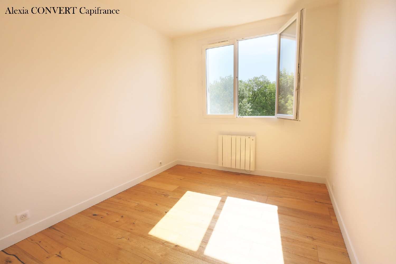 te koop appartement Saint-Laurent-sur-Saône Ain 8
