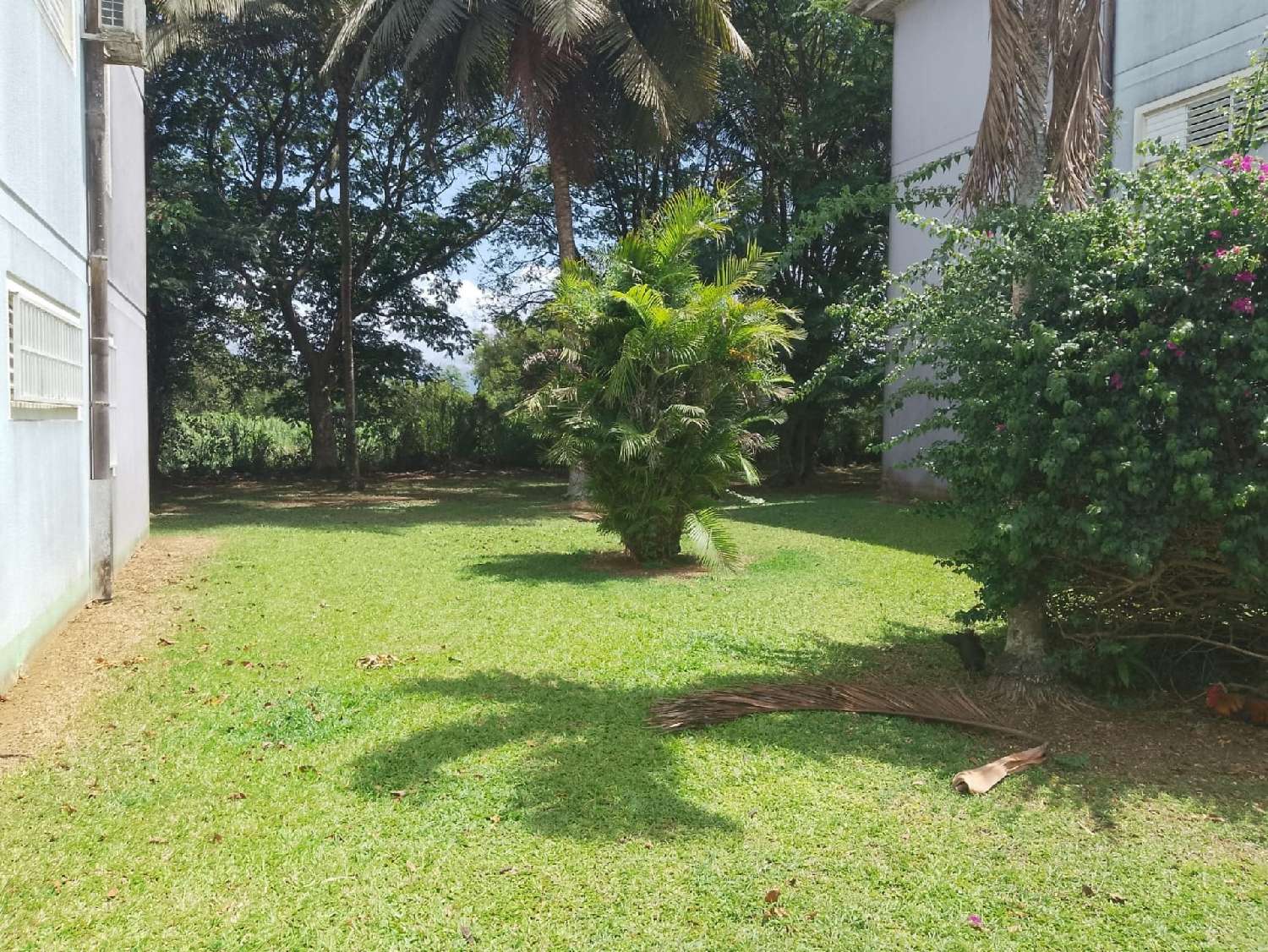  kaufen Wohnung/ Apartment Sainte-Rose Guadeloupe 2