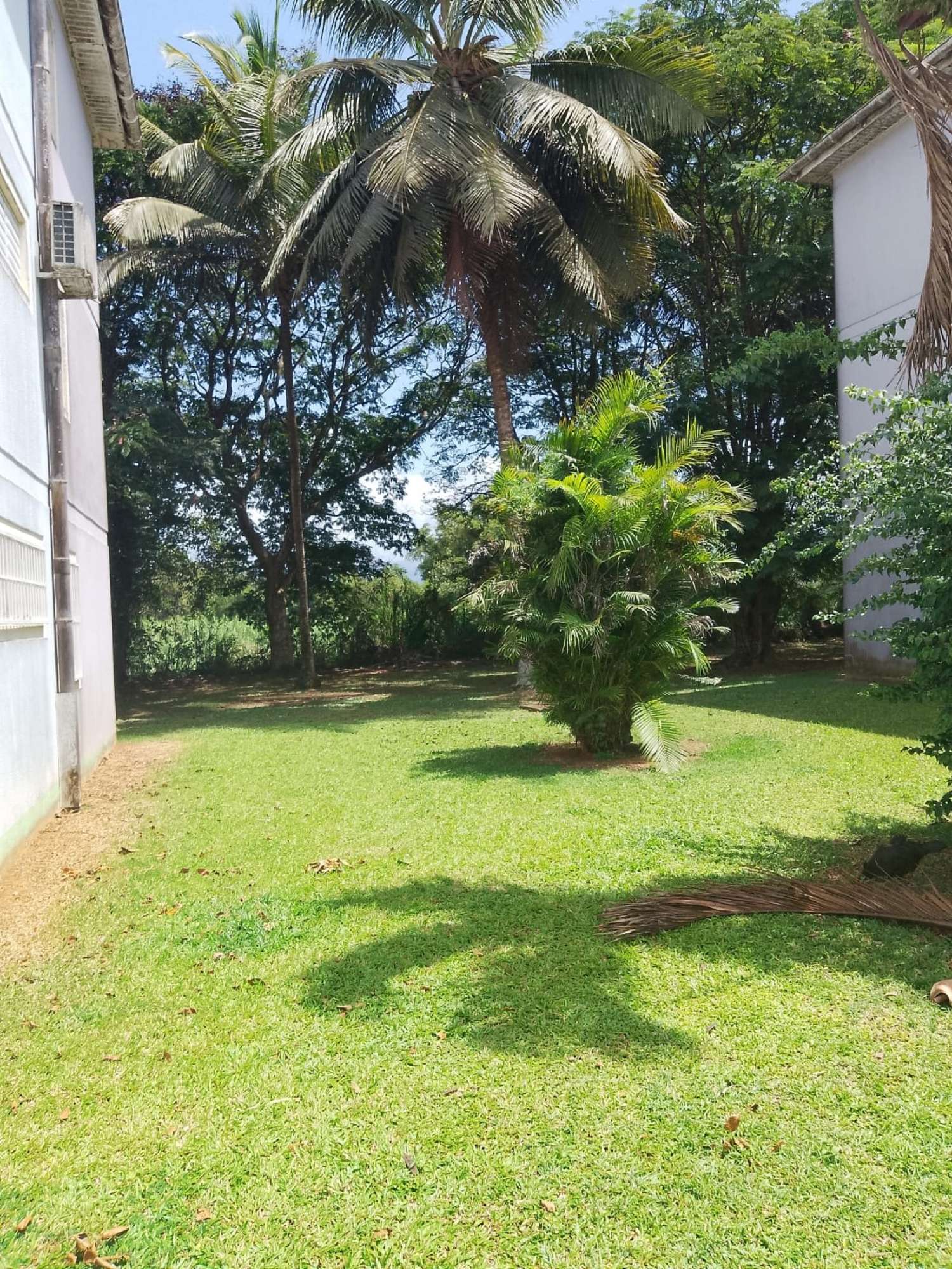  kaufen Wohnung/ Apartment Sainte-Rose Guadeloupe 3